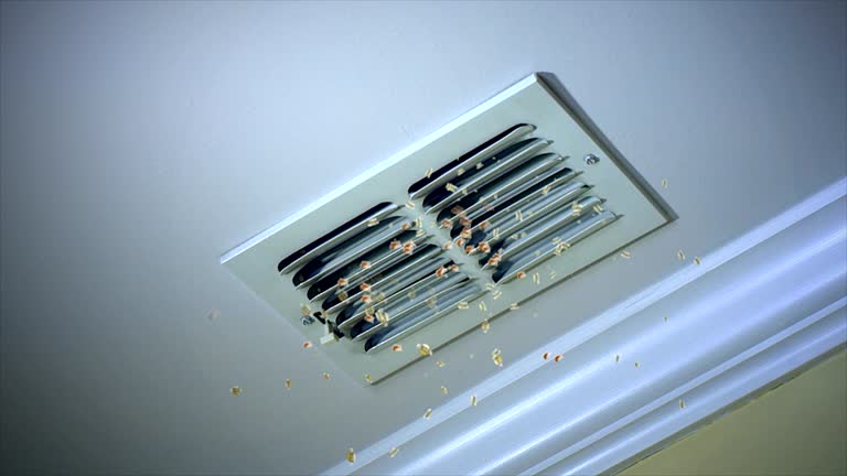 Best Air Duct Cleaning Near Me  in Richland, GA